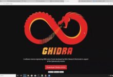 Ghidralite: Comprehensive Guide to Ghidra Reverse Engineering Tool