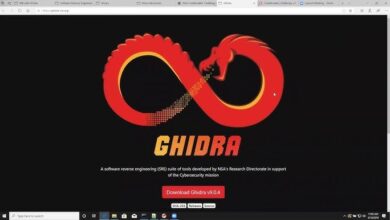 Ghidralite: Comprehensive Guide to Ghidra Reverse Engineering Tool