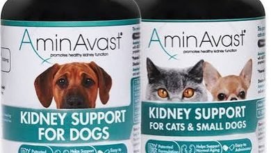 Important Techniques for Dog and Cat Health