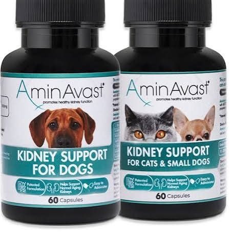 Important Techniques for Dog and Cat Health